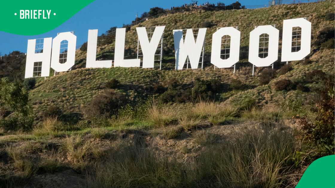 Netizens reacted to the Palisades fire that spread to Hollywood Hills Netizens reacted to the Palisades fire that spread to Hollywood Hills