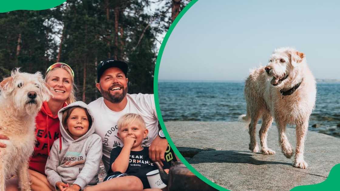 Mikael Lindnord alongside his family and Arthur (L). Arthur standing on a rocky shoreline (R)