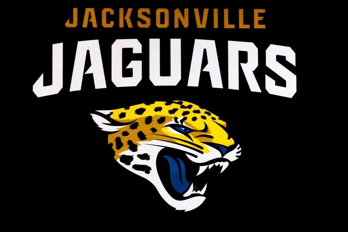 Jacksonville Jaguars logo in Los Angeles, CA Jacksonville Jaguars logo in Los Angeles, CA