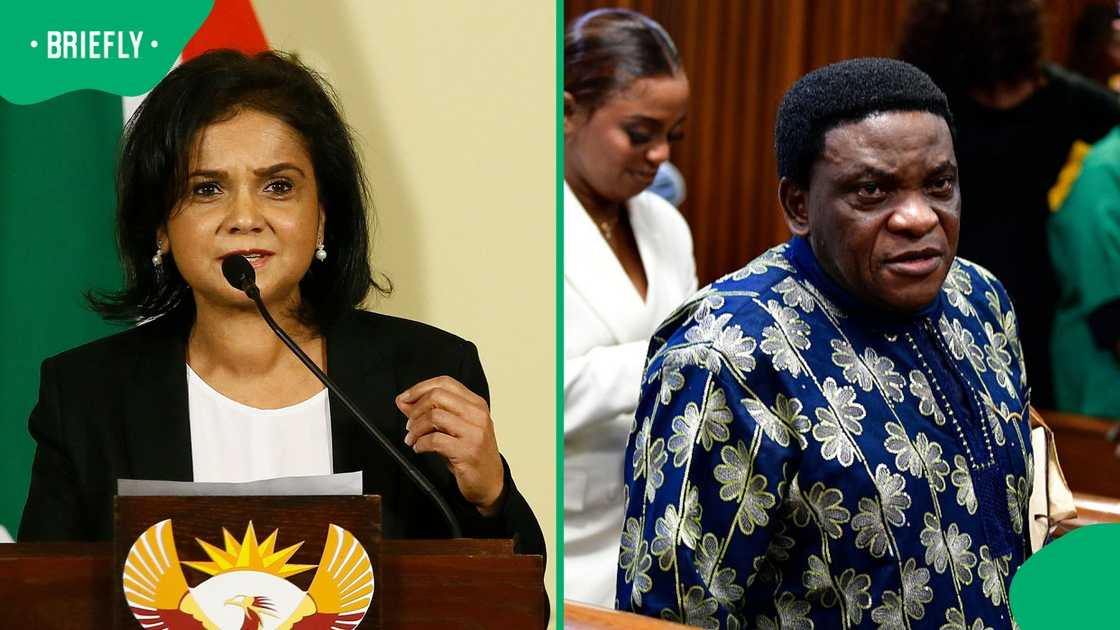 NPA head Shamila Batohi testified that the NPA took full reasponsibilitty for the Tim Omotoso acquital NPA head Shamila Batohi testified that the NPA took full reasponsibilitty for the Tim Omotoso acquital