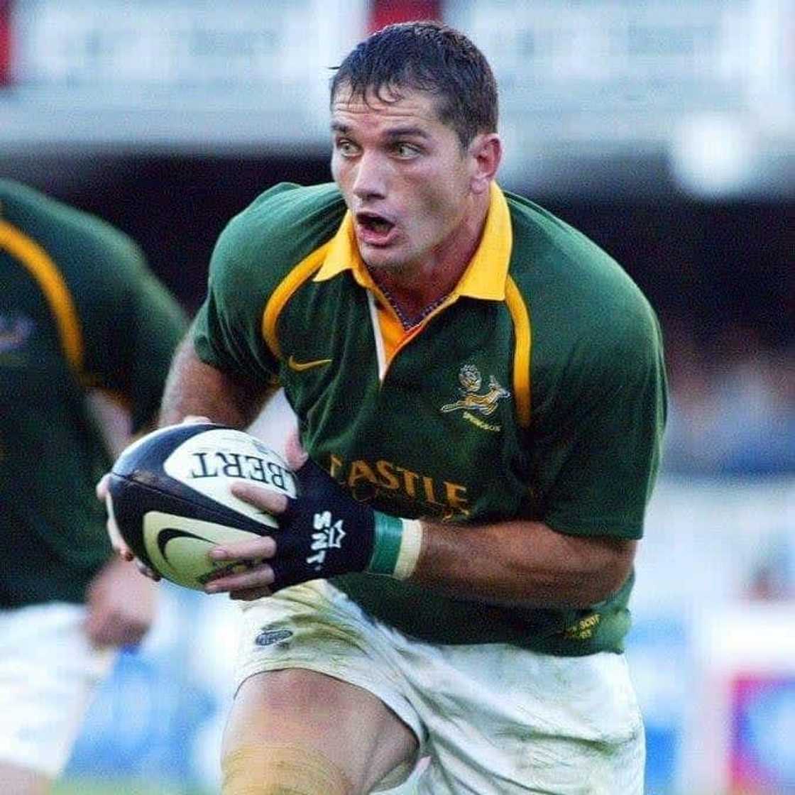 the springbok the springbok