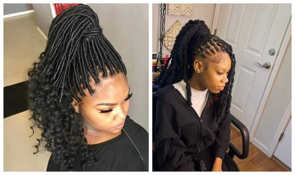 braids rastas