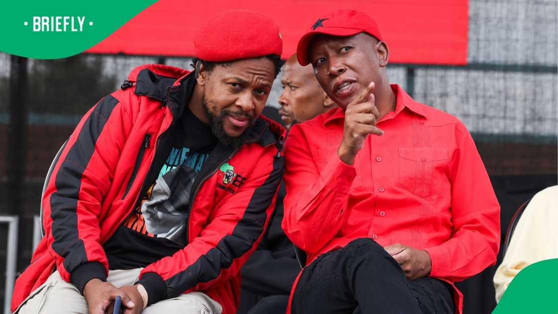 EDD president Julius Malema and Mbuyiseni Ndlozi. EDD president Julius Malema and Mbuyiseni Ndlozi.