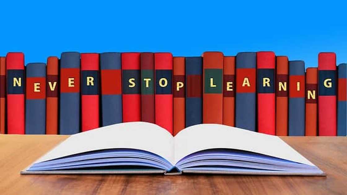 South African education system facts South African education system facts