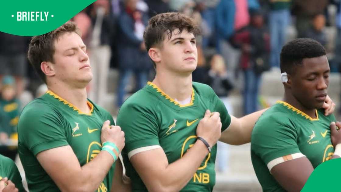 Junior Springboks, Josh Neill, Leinster