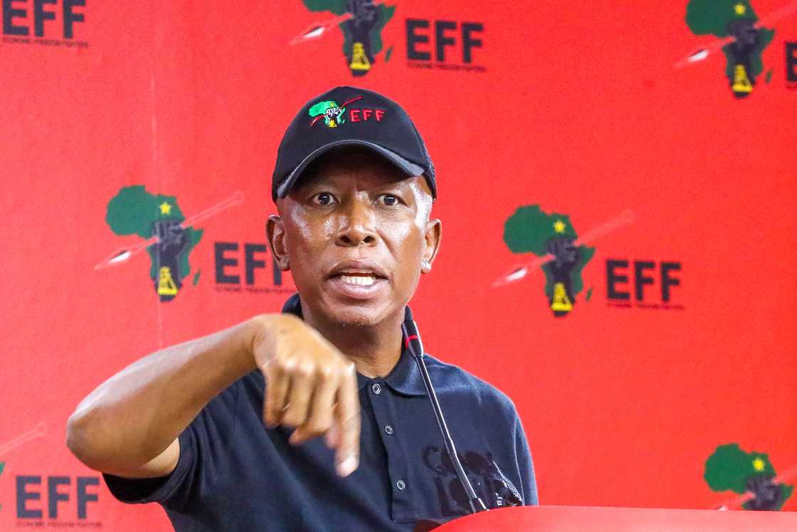 Julius Malema has been critical of the Land Expropriation Act