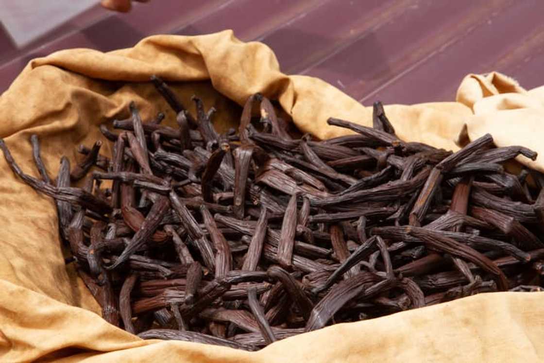 Close-up of dried vanilla bean seed pods