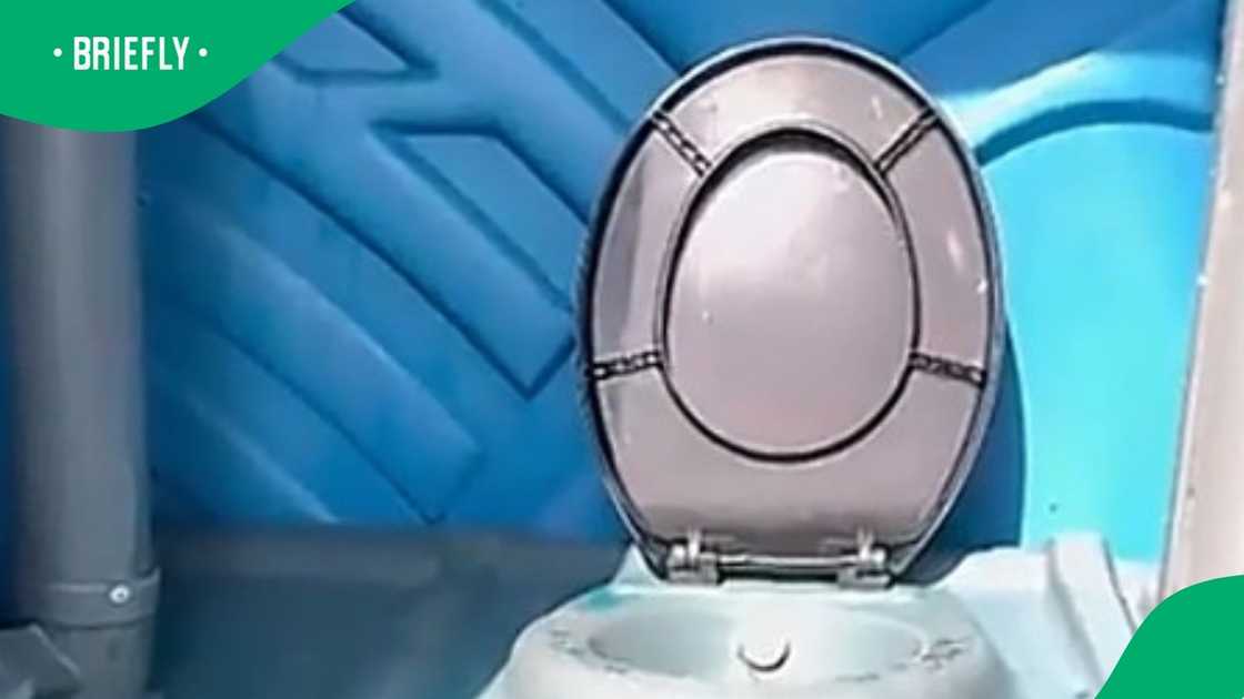 Snake spotted inside portable toilet