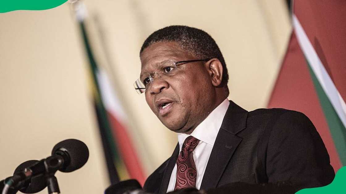 What is Fikile Mbalula doing now? What is Fikile Mbalula doing now?