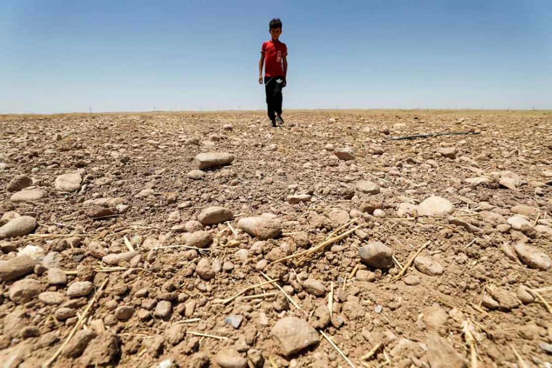 Severe heatwaves -- made hotter and more frequent by climate change -- are already being felt across the world Severe heatwaves -- made hotter and more frequent by climate change -- are already being felt across the world