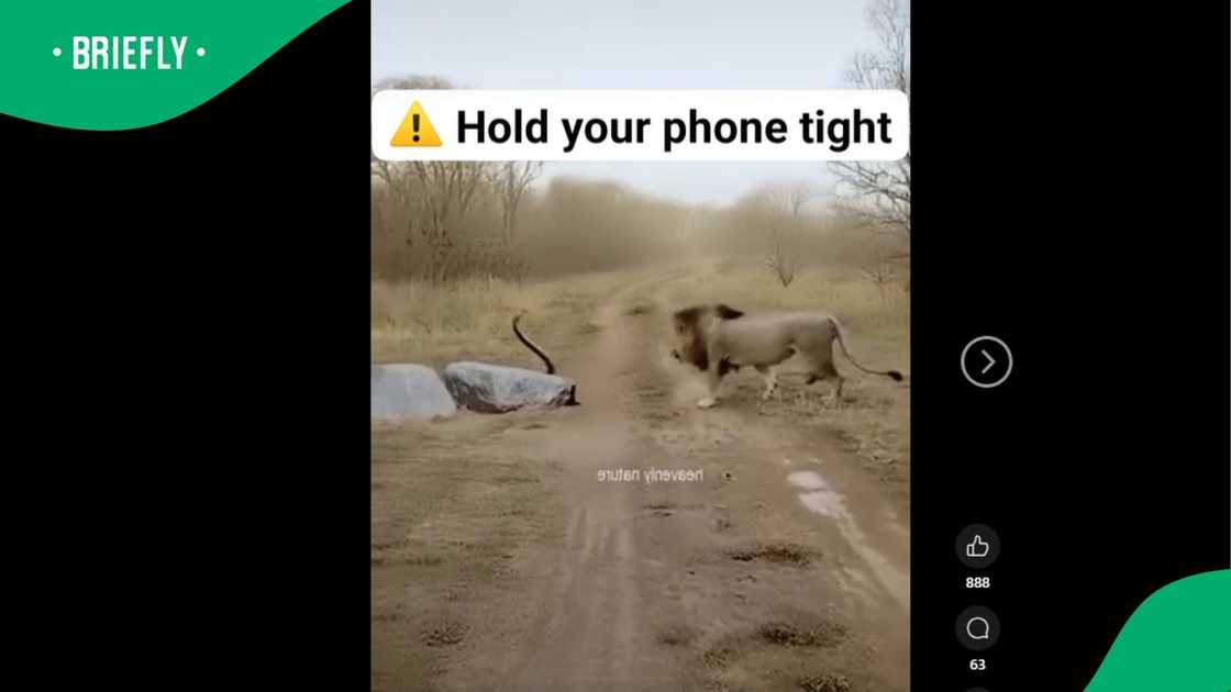 A post went viral. A post went viral.