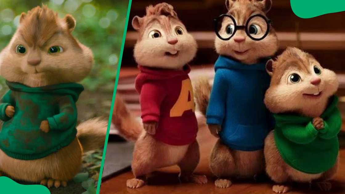 Theodore (L). Alvin, Simon and Theodore (L-R)