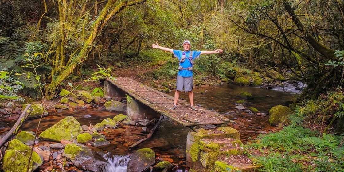 15 of the best hiking trails and walking trails in South Africa 15 of the best hiking trails and walking trails in South Africa