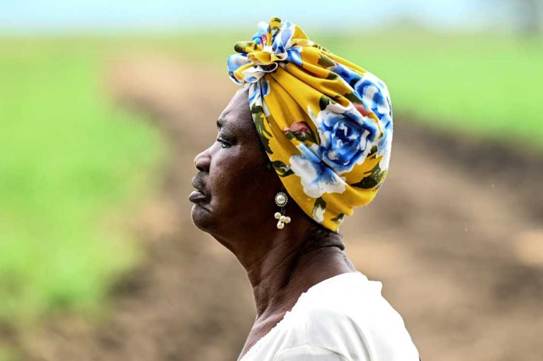 A woman is pictured as she walks by a sugar cane field in Tetillo near Corinto, department of Cauca, Colombia