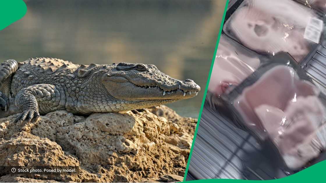 Crocodile meat in South African store goes TikTok viral Crocodile meat in South African store goes TikTok viral