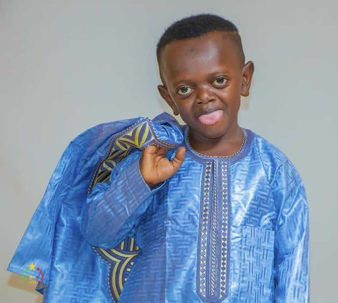 Dwarf Grand M bio Dwarf Grand M bio