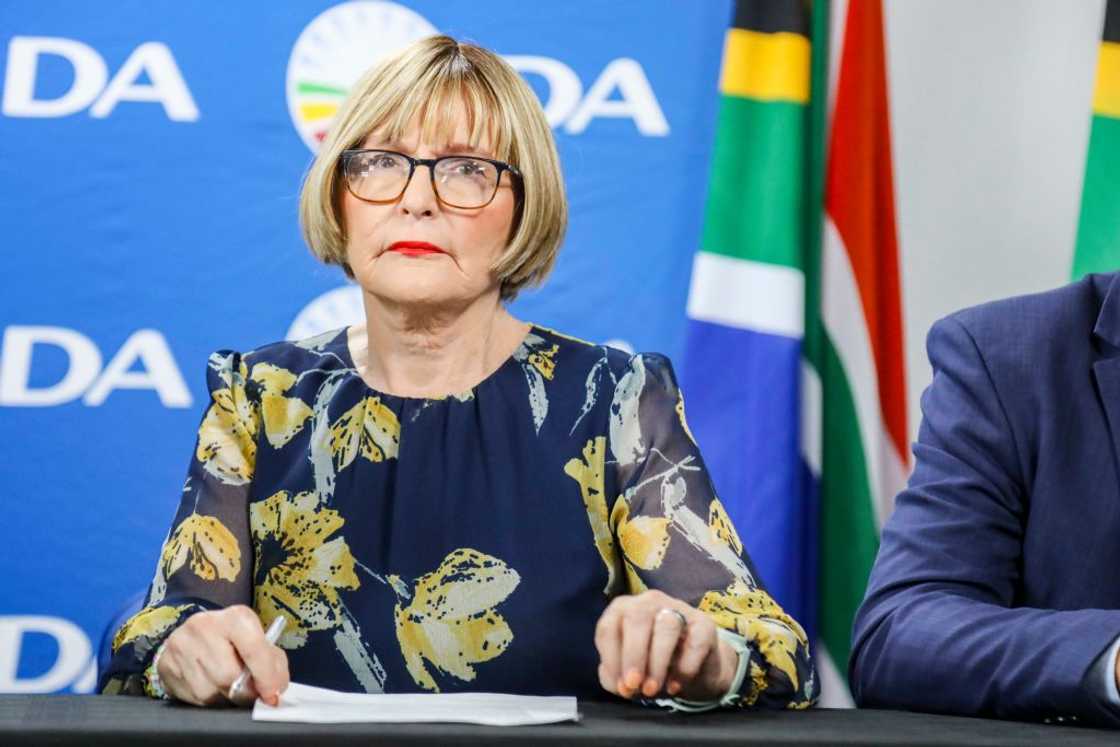 Helen Zille filed papers against the Expropriation Act