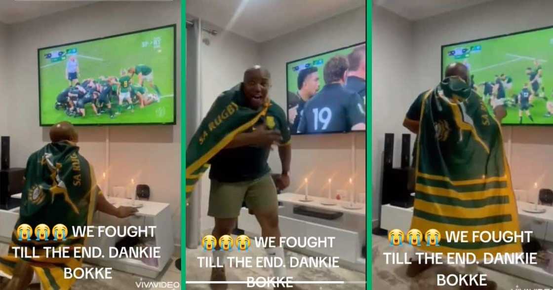 Springboks' fan speaking Afrikaans Springboks' fan speaking Afrikaans