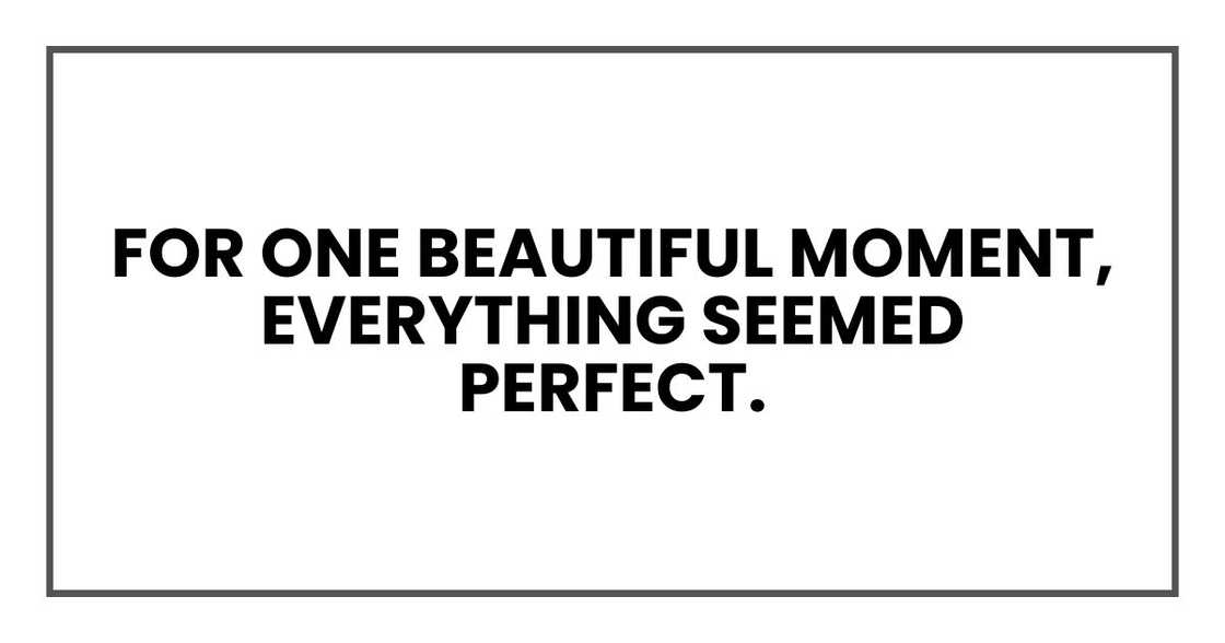 For one beautiful moment, everything seemed perfect.