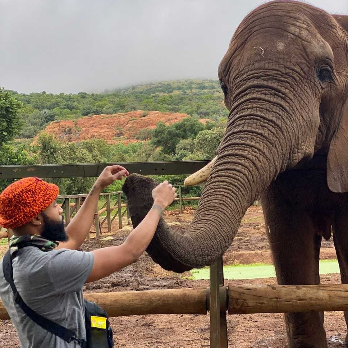 Humorous South Africans directed a man's funny complaint about pavements in a local street to the ANC Humorous South Africans directed a man's funny complaint about pavements in a local street to the ANC