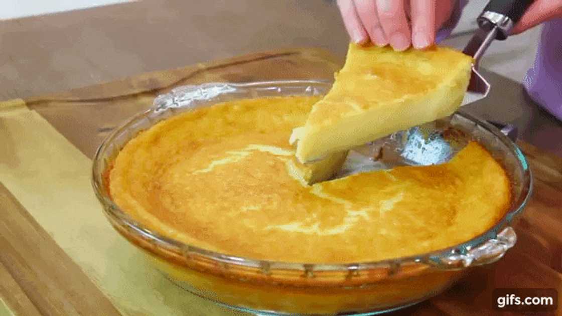 Yskas melktert resep. Sjokolade melktert resep. Outydse melktert resep. Ongebakte melktert resep. Mikrogolf melktert resep. Melktert resep sonder kors. Maklike korslose melktert resep. Yskas melktert resep. Sjokolade melktert resep. Outydse melktert resep. Ongebakte melktert resep. Mikrogolf melktert resep. Melktert resep sonder kors. Maklike korslose melktert resep.