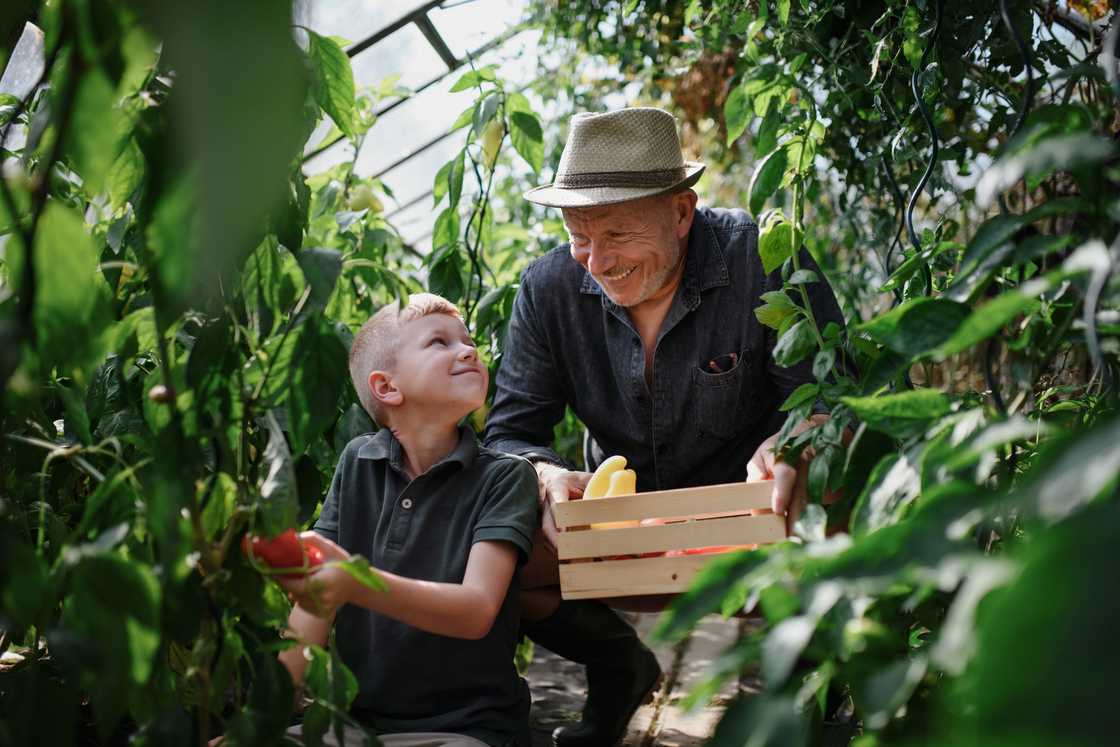 TikTok users praised a young man for his love of farming after seeing him in action