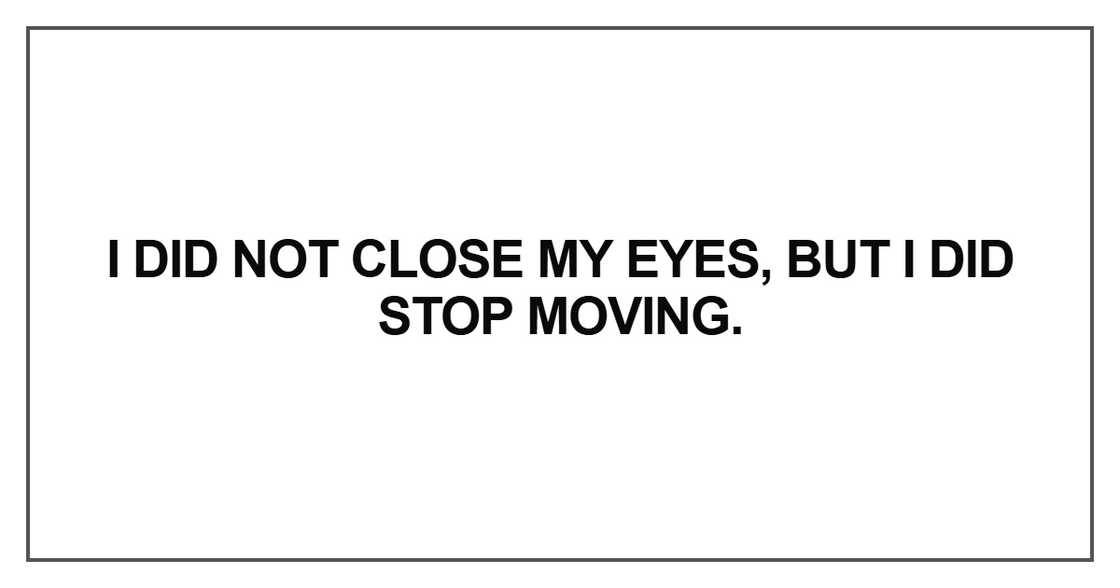 I did not close my eyes, but I did stop moving I did not close my eyes, but I did stop moving