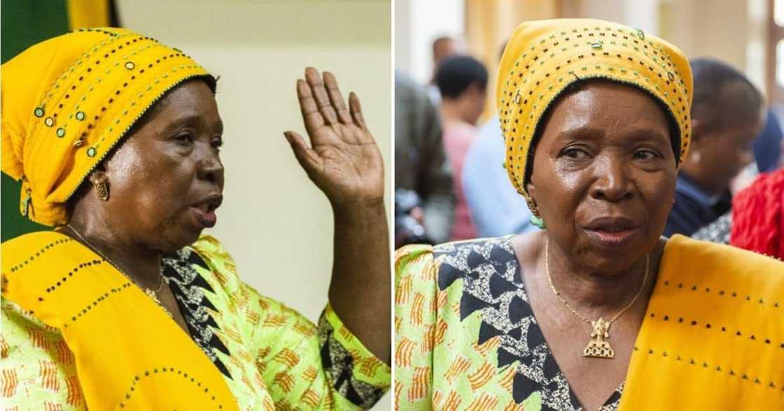 Cogta Minister Dlamini-Zuma Cogta Minister Dlamini-Zuma