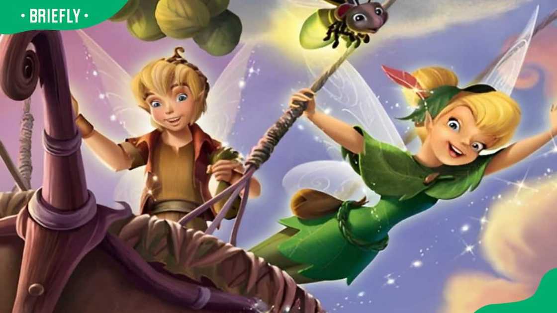 Tinker Bell on a quest to find a magical moonstone Tinker Bell on a quest to find a magical moonstone