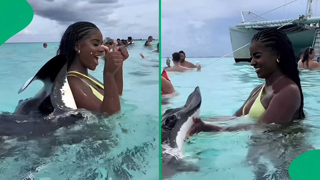 A TikTok video shows a woman being attacked by a stingray. A TikTok video shows a woman being attacked by a stingray.