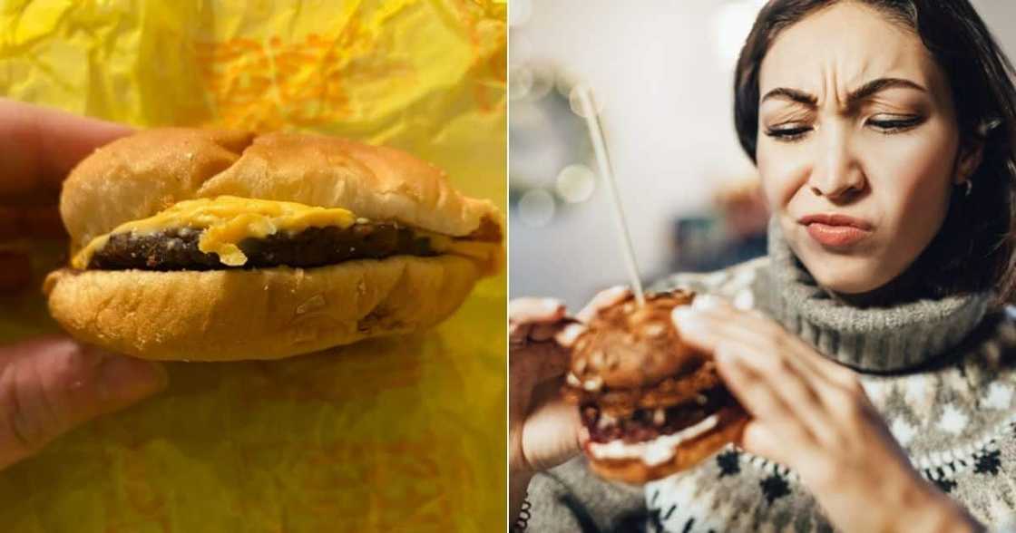 Burger, woman, five, old, moldy, bad, eat, edible, food, junk, cheese, burger, gherkins, tomato Burger, woman, five, old, moldy, bad, eat, edible, food, junk, cheese, burger, gherkins, tomato