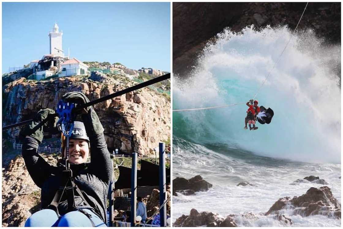 What is the longest zipline in the Cape? What is the longest zipline in the Cape?