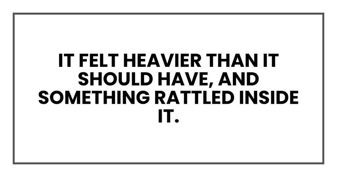 It felt heavier than it should have, and something rattled inside it. It felt heavier than it should have, and something rattled inside it.