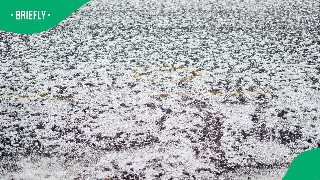 SA weather warning: Severe storms, strong winds and fire danger expected SA weather warning: Severe storms, strong winds and fire danger expected