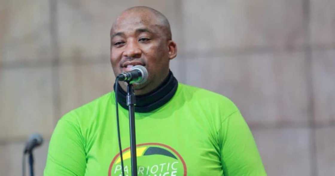 Patriotic Alliance, Gayton McKenzie, coalition governments, election results Patriotic Alliance, Gayton McKenzie, coalition governments, election results