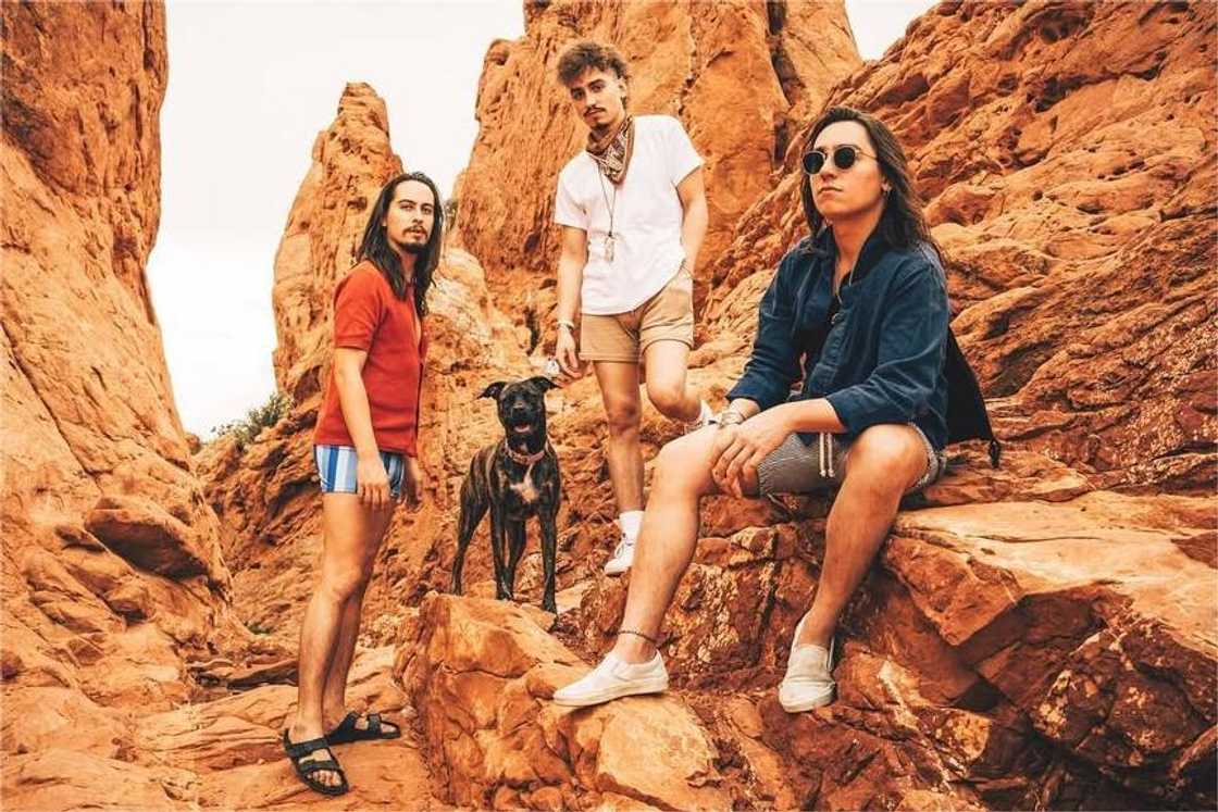 Greta Van Fleet members Greta Van Fleet members