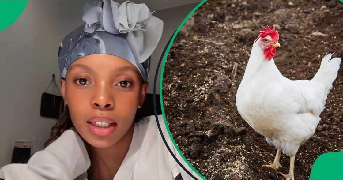 A young woman faced her fear of holding a live chicken before slaughter. A young woman faced her fear of holding a live chicken before slaughter.