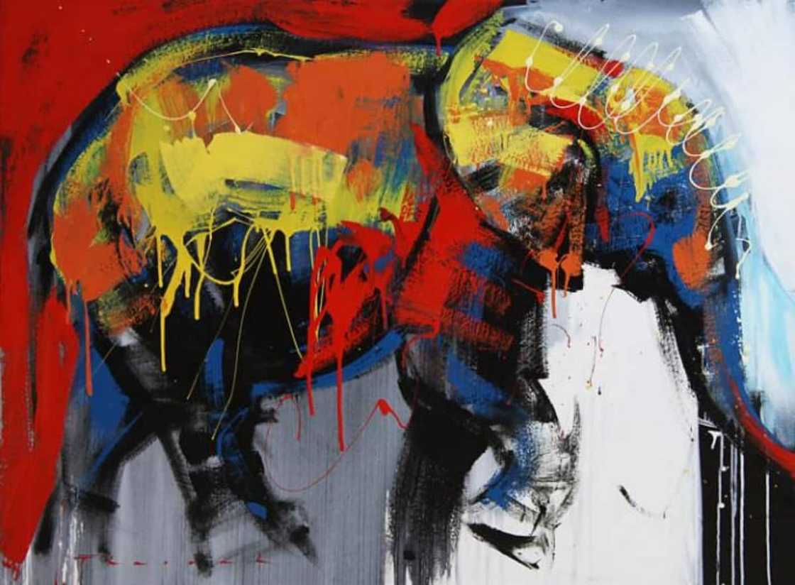 Art galleries in South Africa. The South African Art museum. Art galleries in South Africa. The South African Art museum.