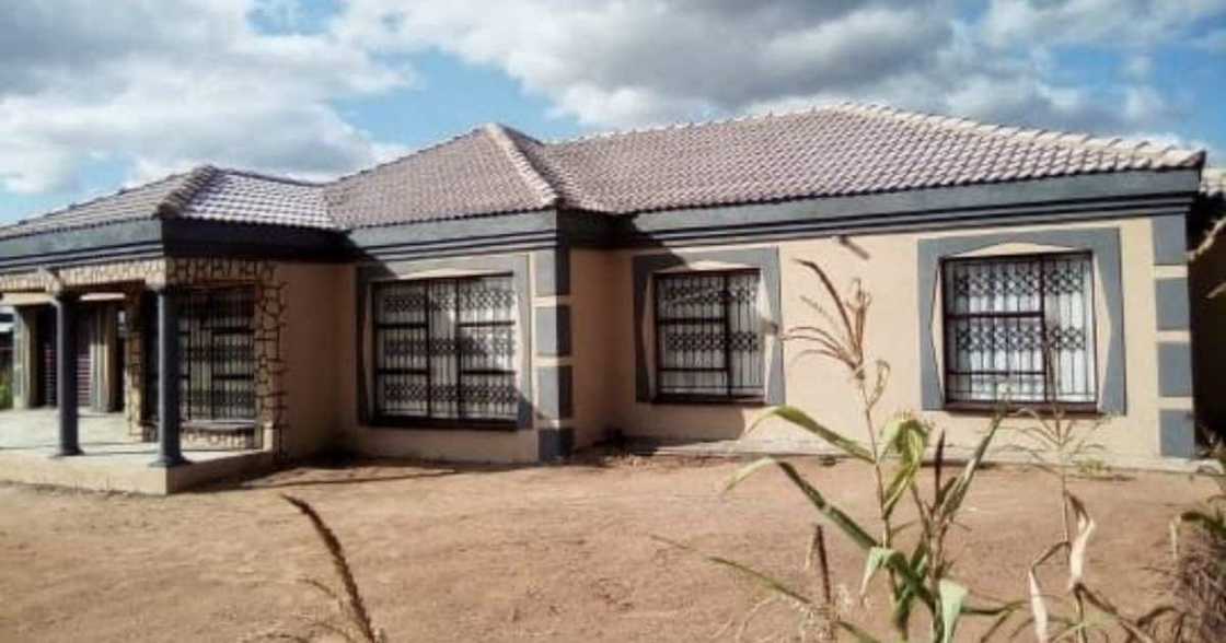 Mzansi, Delights, Woman, Built, Home, Mom Mzansi, Delights, Woman, Built, Home, Mom