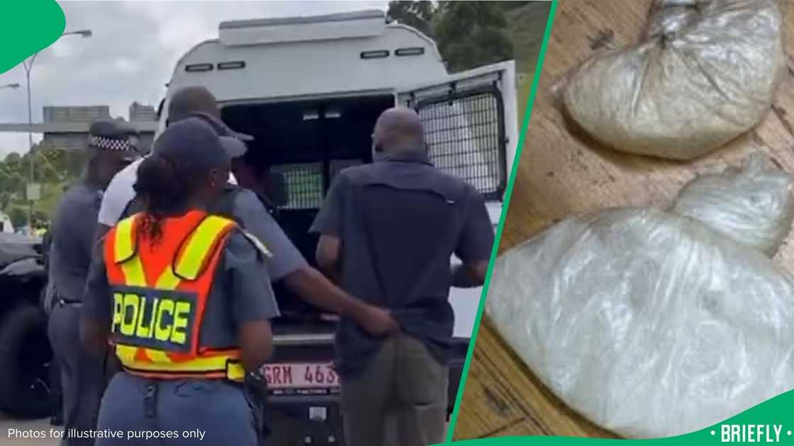 suspects apprehended suspects apprehended