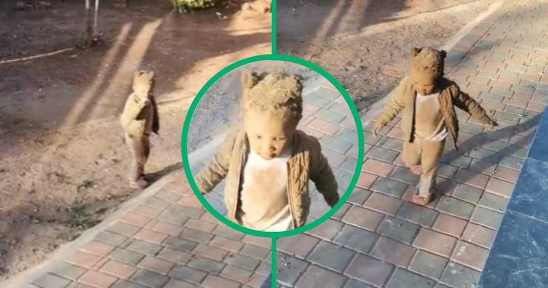 Zama zama, little girl, illegal mining, Mzansi, TikTok video Zama zama, little girl, illegal mining, Mzansi, TikTok video