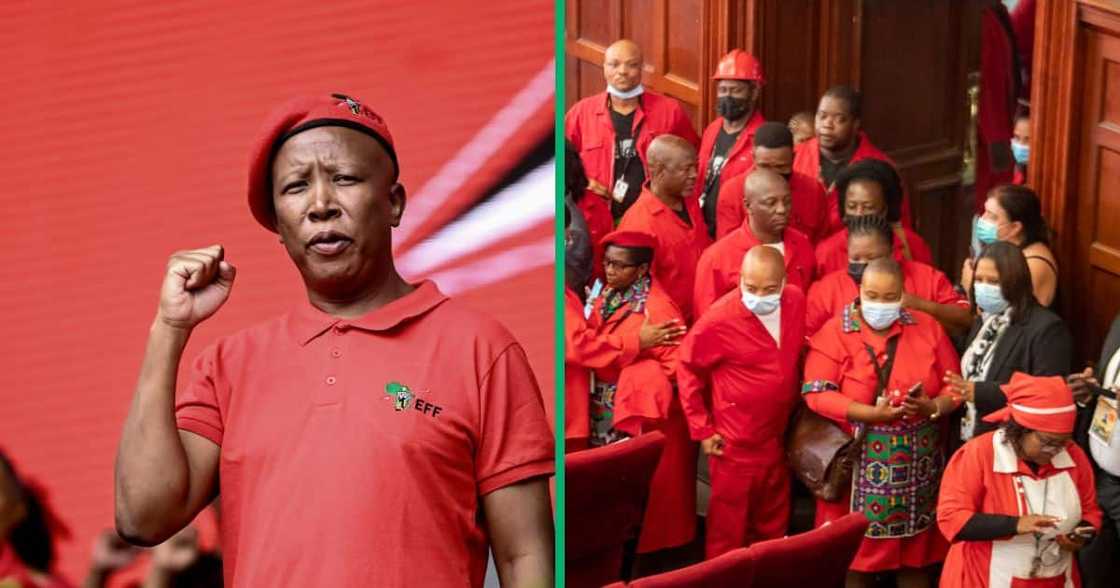 Julis Malema questioned why some EFF members did not attend the John Hlophe impeachment vote Julis Malema questioned why some EFF members did not attend the John Hlophe impeachment vote