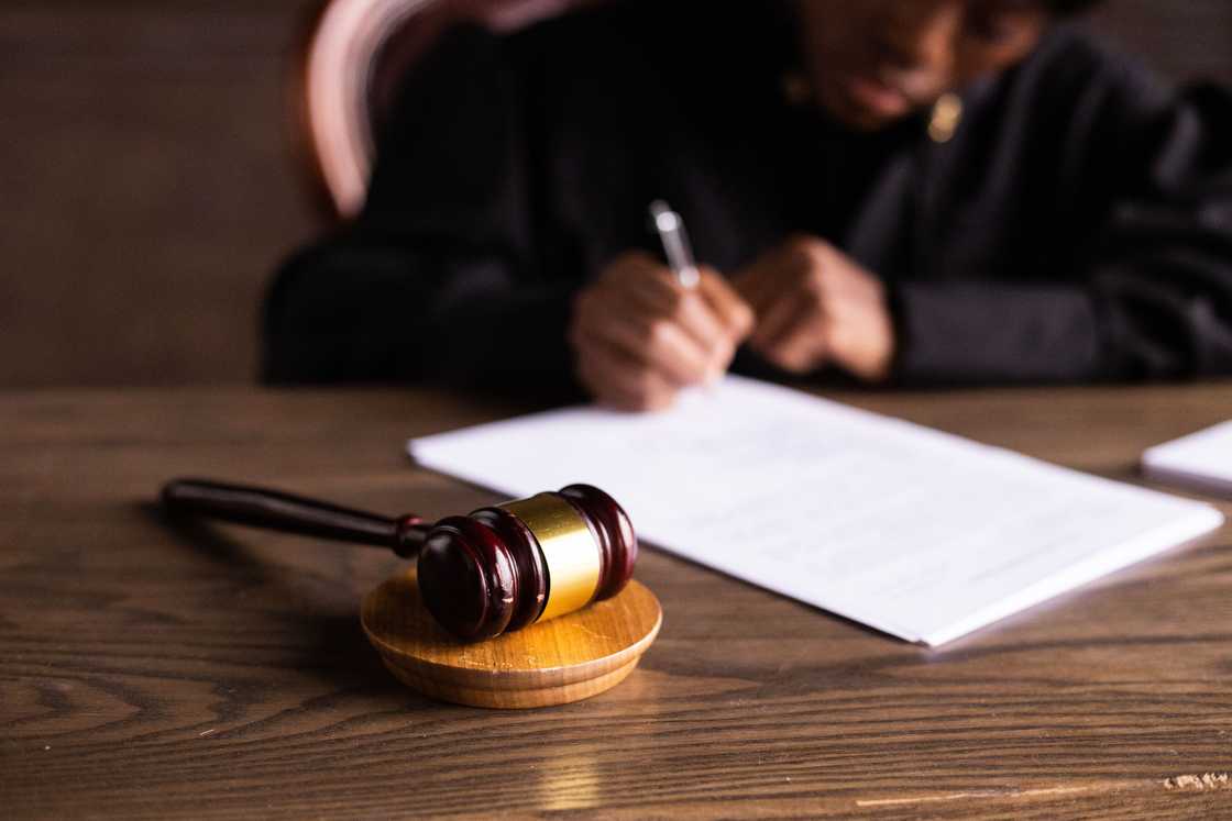 Labour Court's ruling on a man dismissed for training a dog to be racist sparks debate