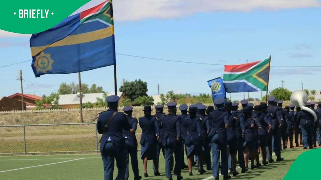 SAPS trainee application mounted within 24 hours SAPS trainee application mounted within 24 hours