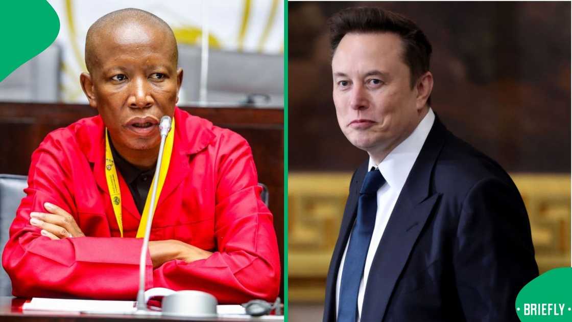 Julius Malema hit back against Elon Musk calling him an international criminal