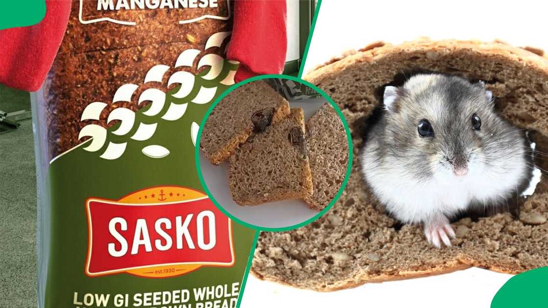 Baking brand Sasko provides response to viral rat video