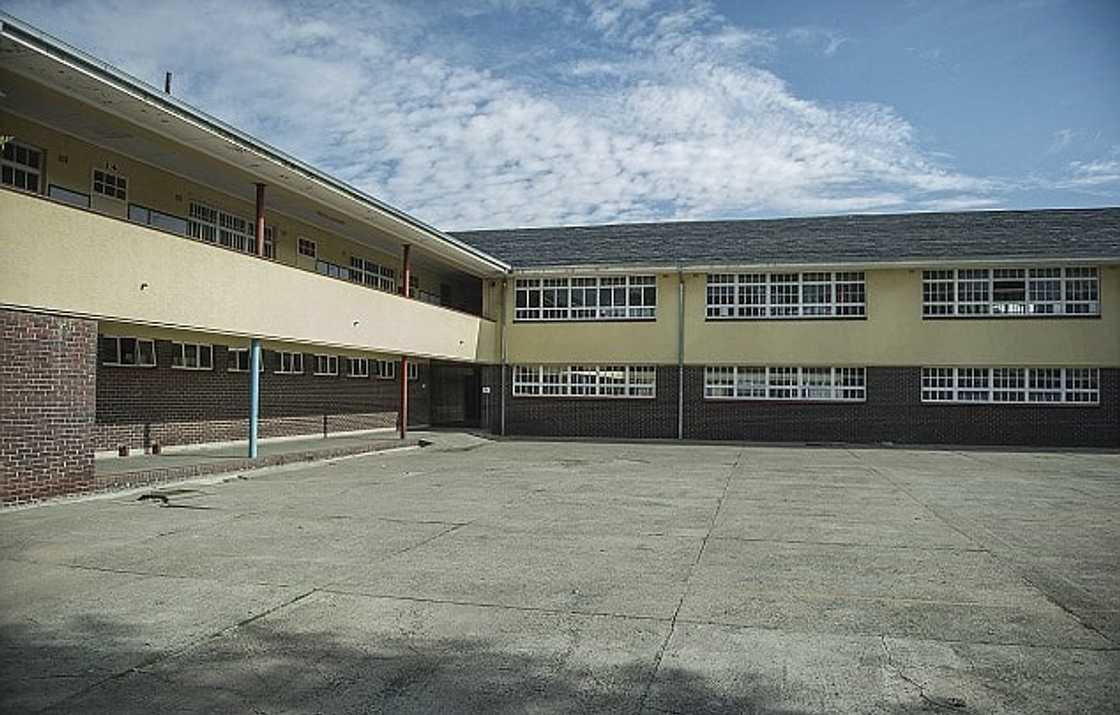 Trevor Noah parents
Trevor Noah family
Trevor Noah mother and father
Trevor Noah mom
Trevor Noah dad