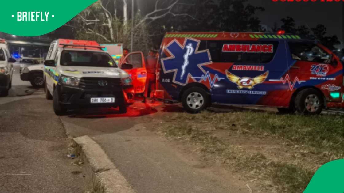 Paramedics assessed the victims but found no signs of life and declared them dead at the scene.