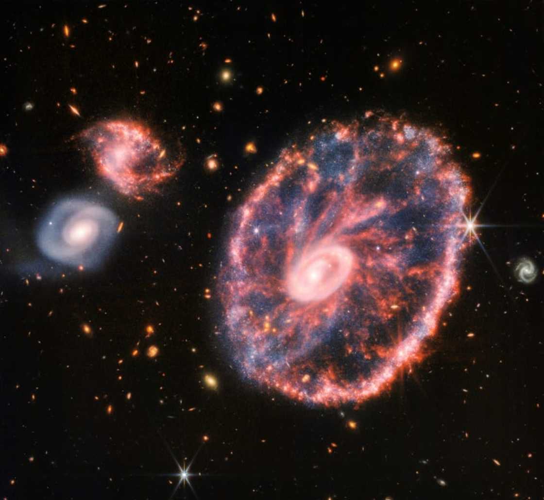 The Webb telescope's image of the Cartwheel Galaxy, which was once shrouded in mystery due to dust The Webb telescope's image of the Cartwheel Galaxy, which was once shrouded in mystery due to dust
