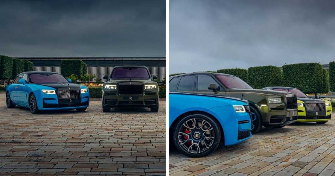 rolls royce, luxury, cars, suv, sports car rolls royce, luxury, cars, suv, sports car